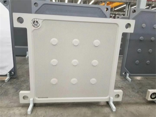 隔膜壓濾機濾板價格優(yōu)惠廠家直銷規(guī)格型號齊全